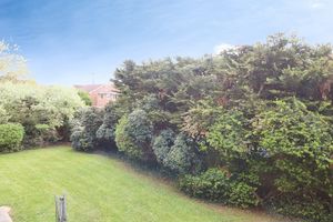 Photo 15- click for photo gallery